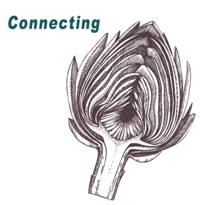 2013 connecting