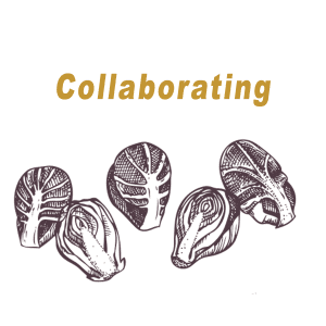 2014 collaborating