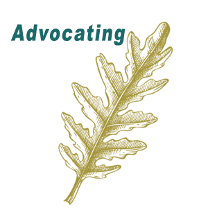 2015 Advocating