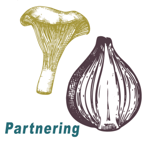 2017 partnering