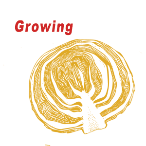 2018 Growing