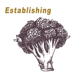 2019 Establishing