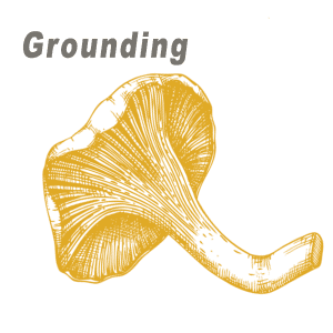 2020 Grounding