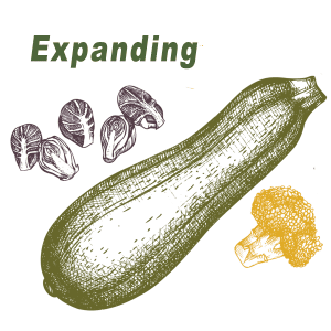 2023 Expanding