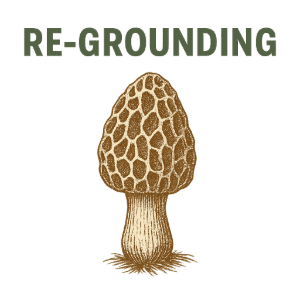 Re-Grounding 2025 300x300