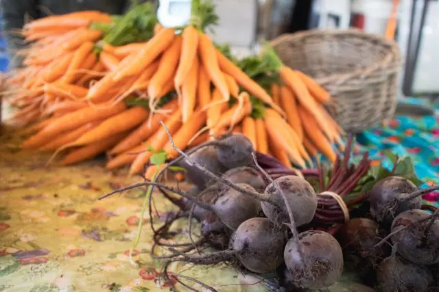 AFPC_Homer Farmers Market-25 Medium